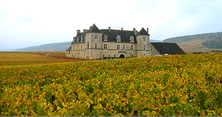 Château Clos Vougeot