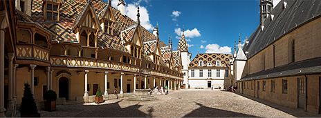 bouton Bourgogne bouton Bourgogne