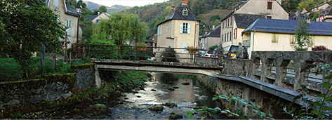 Photo Transpyrénéenne