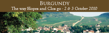 Step 2010 - Burgundy