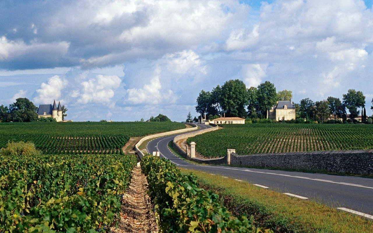 Classic Only Cognac 2027 — Slide 8